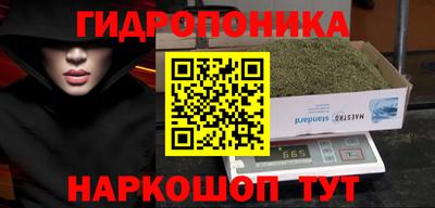 сатива Кулебаки