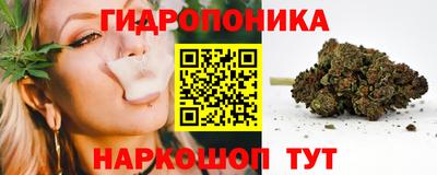 сатива Кулебаки