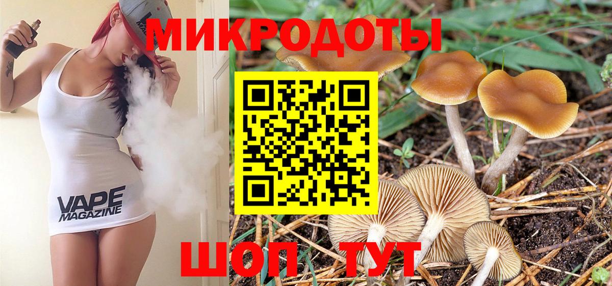 Псилоцибиновые грибы Psilocybe  Вход с VPN  Псилоцибиновые грибы GOLDEN TEACHER  Кинель 