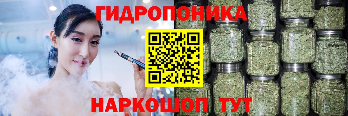 Шишки марихуана планчик  Вход с VPN  Бошки марихуана семена  Бошки Шишки тримм  Каннабис OG Kush  Кинель 